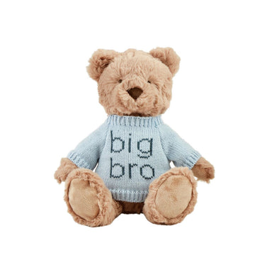 Plush teddy bear wearing a blue sweater with 'big bro' text on a white background