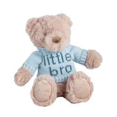 Plush teddy bear wearing a sweater with 'little bro' text on a white background