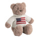Teddy Bear with American Flag sweater