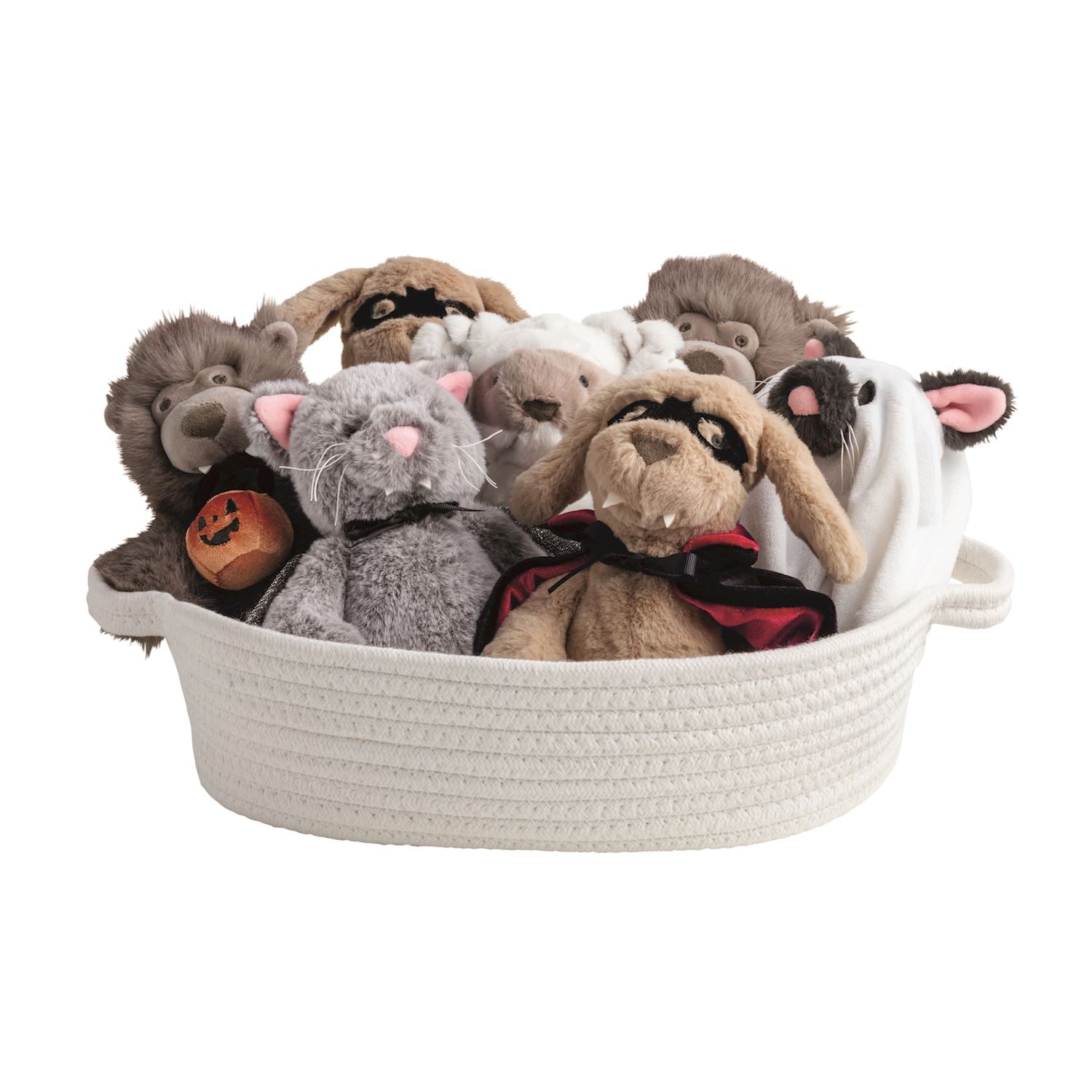 Plush animals dressed up for Halloween