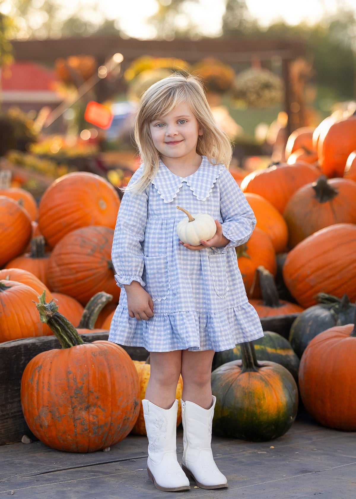 A young girl stands in a pumpkin patch holding a small white pumpkin. She is wearing a light blue and white gingham dress with a white cowboy boot on each foot.