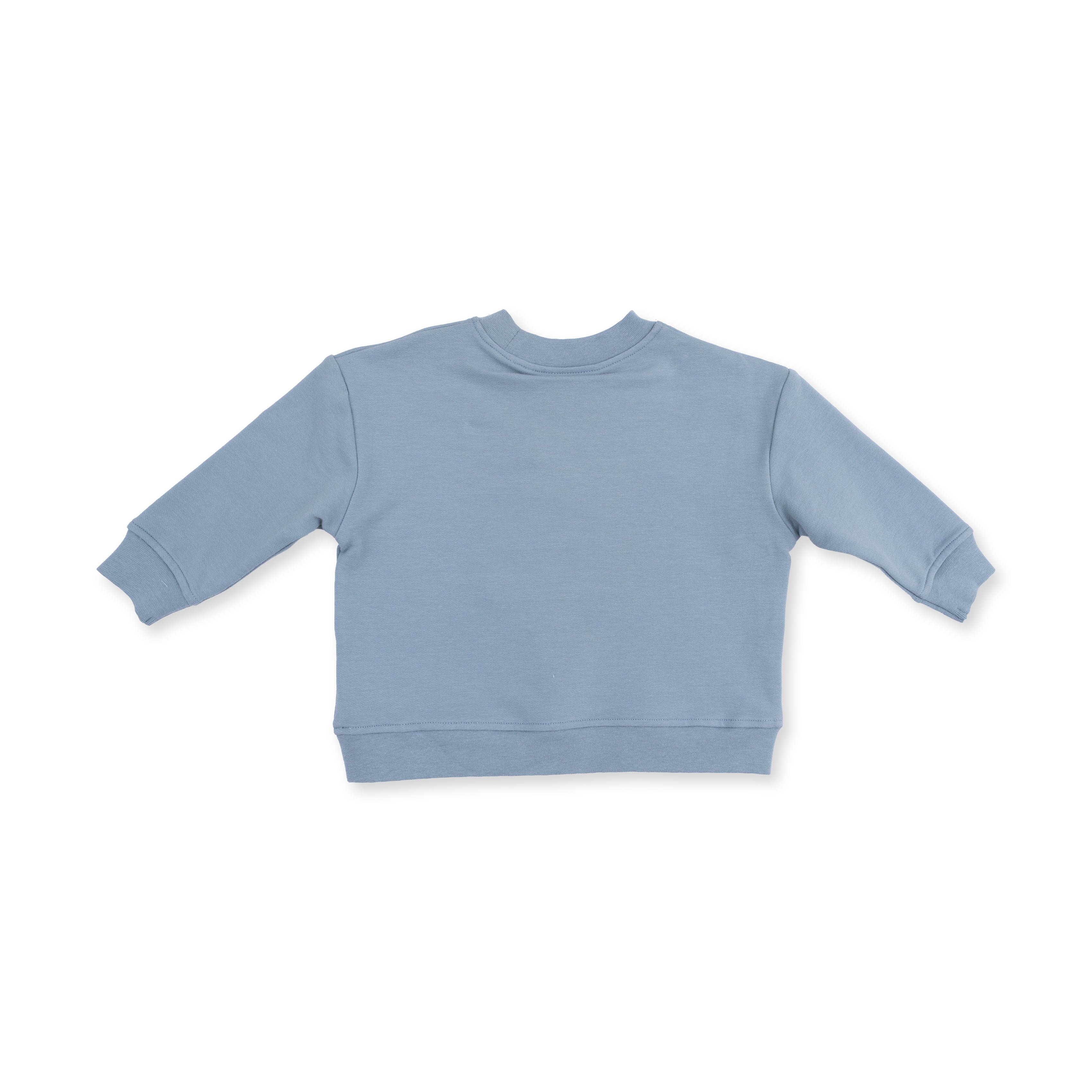 Light blue sweatshirt on a white background