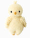 Plush toy chick on a white background