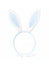 Headband with bunny ears on a white background