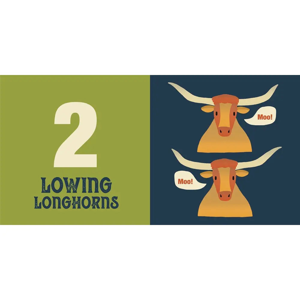 Book - Count on Texas