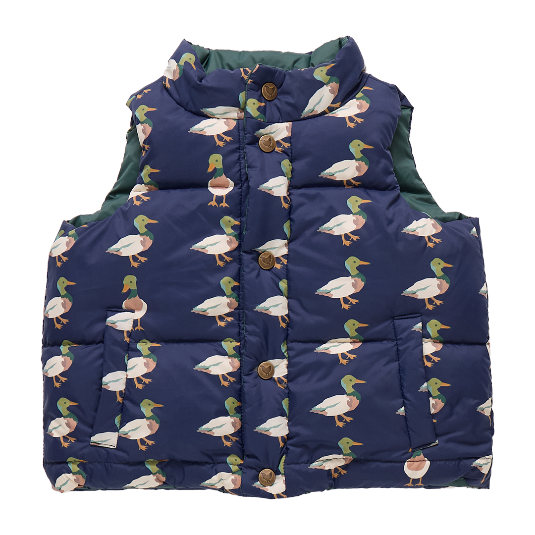 Ellis Vest - Evergreen Stripe