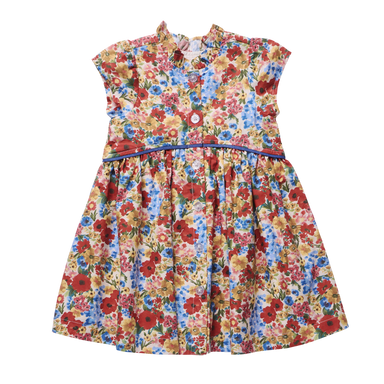 A sleeveless baby girl's dress with a colorful floral print, featuring a light blue bodice with a button-down front and a flared skirt with an all-over floral pattern.