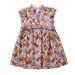 A sleeveless baby girl's dress with a colorful floral print, featuring a light blue bodice with a button-down front and a flared skirt with an all-over floral pattern.