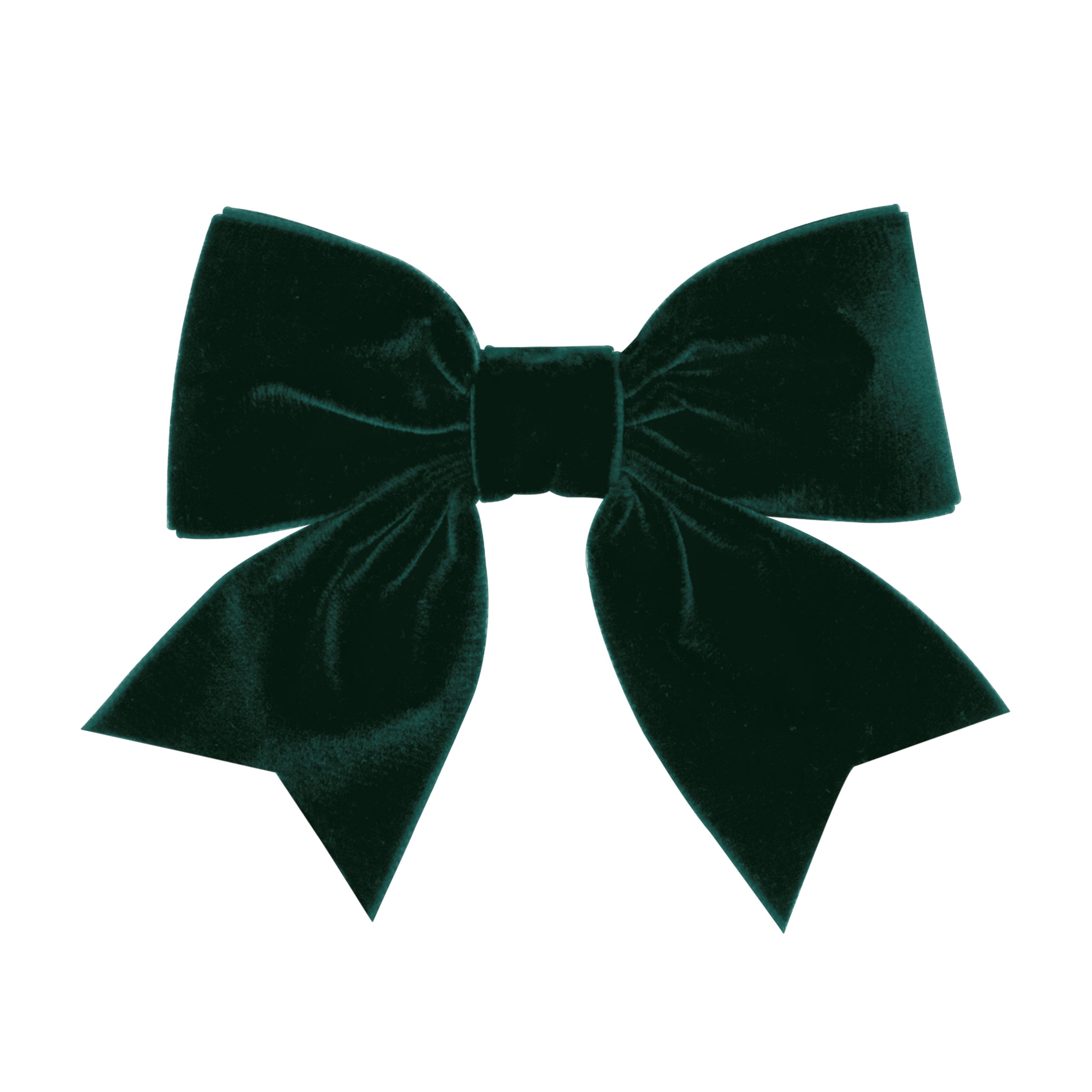 Velvet Bowtie With Fancy Tails Bow