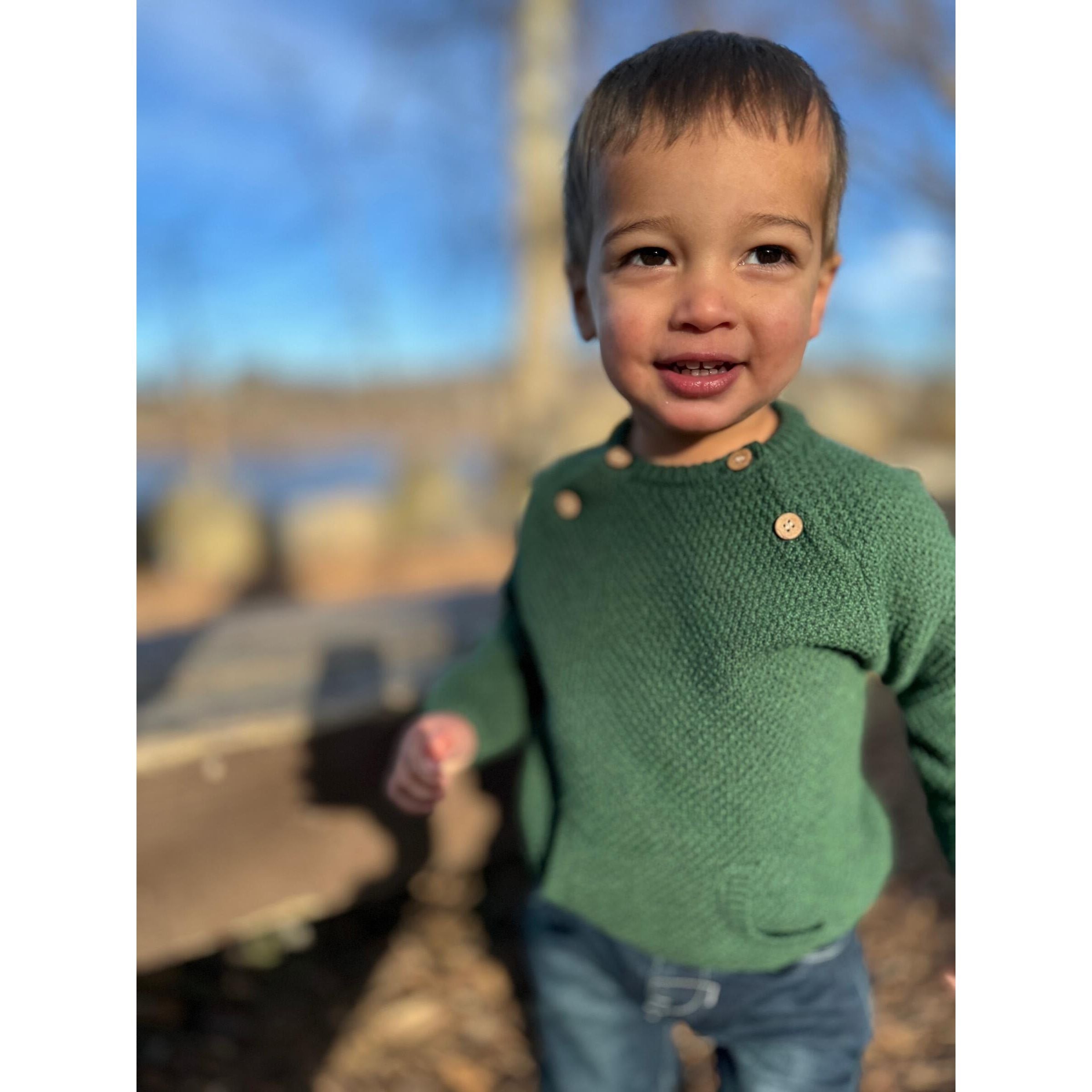 Morrison Baby Sweater - Forest