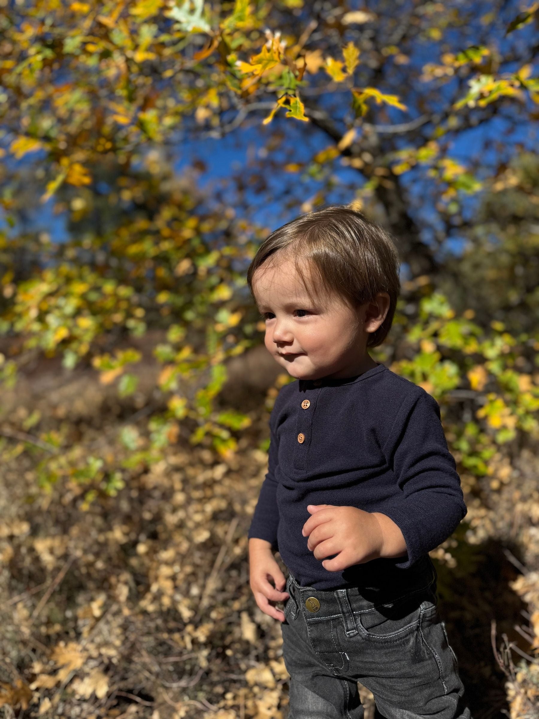 A toddler boy wearing a navy blue long-sleeve henley shirt and dark gray jeans, standing outdoors in a wooded area with autumn leaves and blue sky in the background.