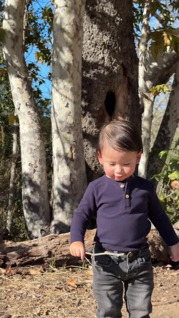 A toddler wearing a dark purple long-sleeve henley shirt and dark gray jeans walking outdoors in front of a large tree trunk.