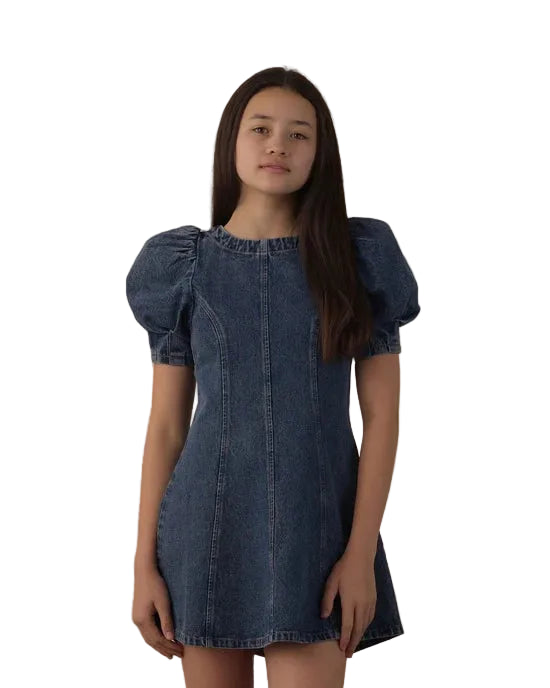 Levi Dress - Denim