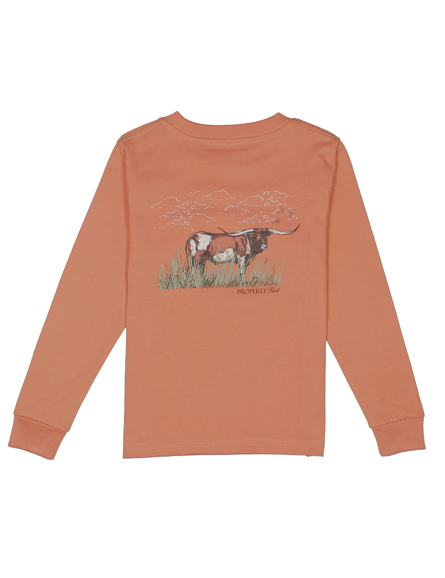 Long sleeve tee with a longhorn graphic on the back.