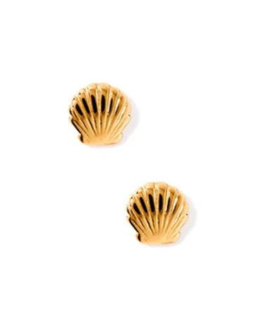 Gold shell-shaped earrings on a white background