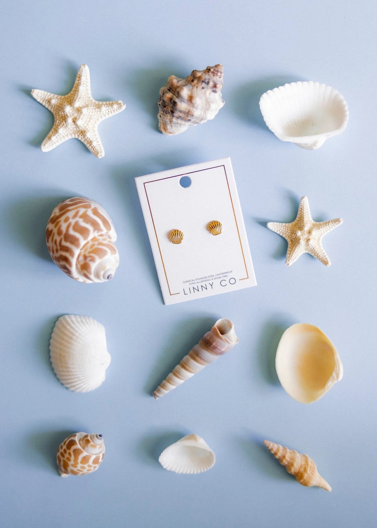 Seashells and starfish on a light blue background with a card labeled 'LINNY CO'.