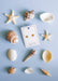 Seashells and starfish on a light blue background with a card labeled 'LINNY CO'.