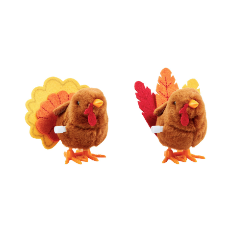 Turkey Wind Up Toy