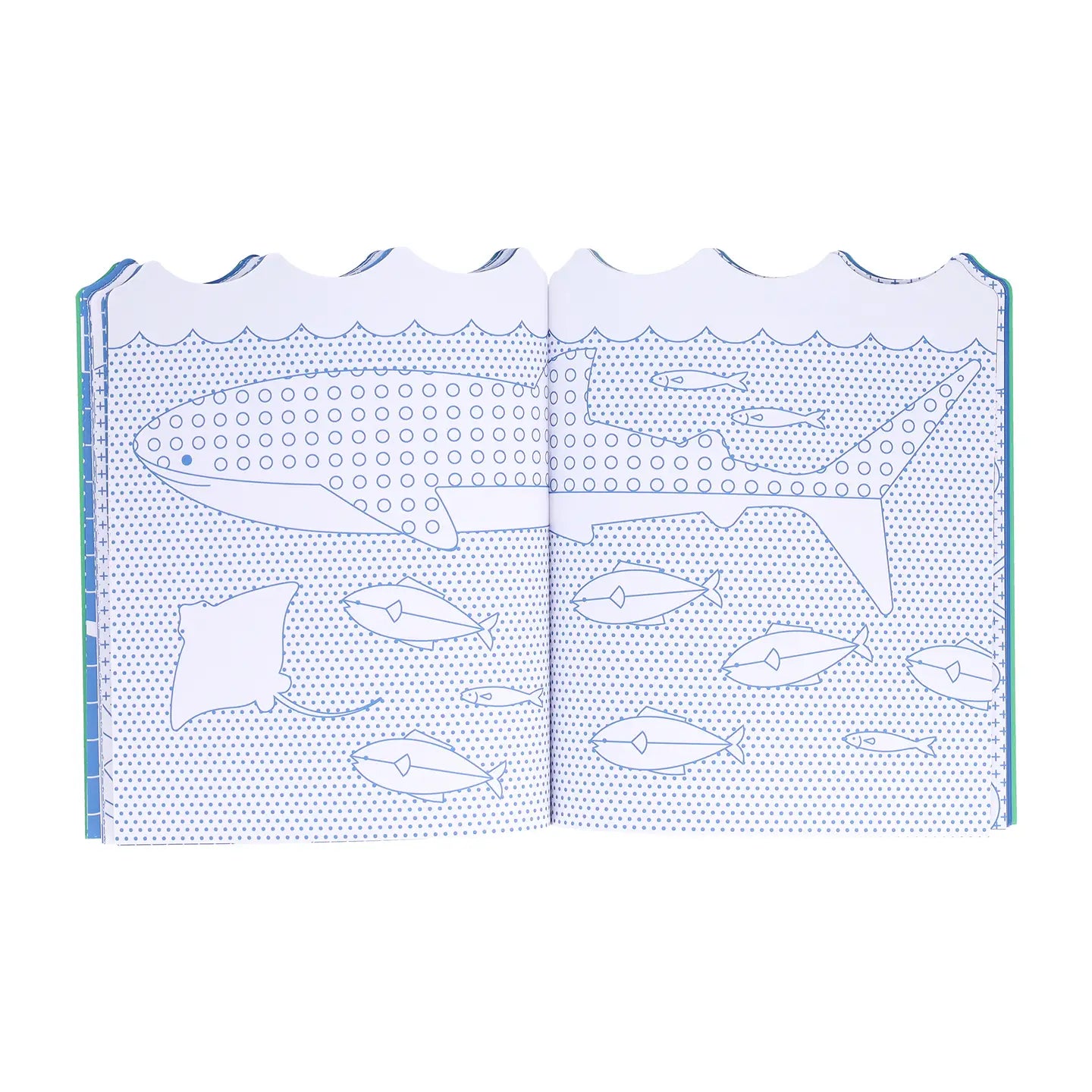 Open book with illustrations of marine animals on a white background