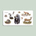 Educational card with illustrations of forest animals on a light green background