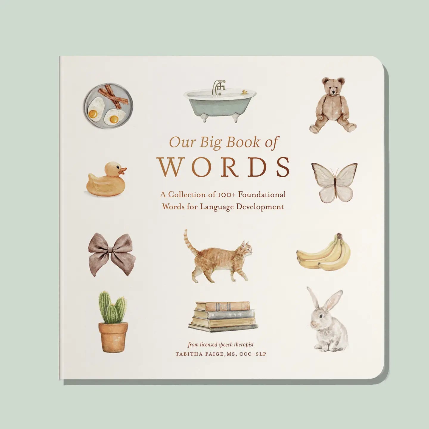 Book titled 'Our Big Book of Words' with illustrations on a light green background