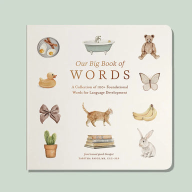 Book titled 'Our Big Book of Words' with illustrations on a light green background
