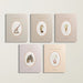 Five books with illustrations on their covers against a light gray background