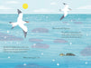 Illustration of birds flying over water with text, likely from a children's book.