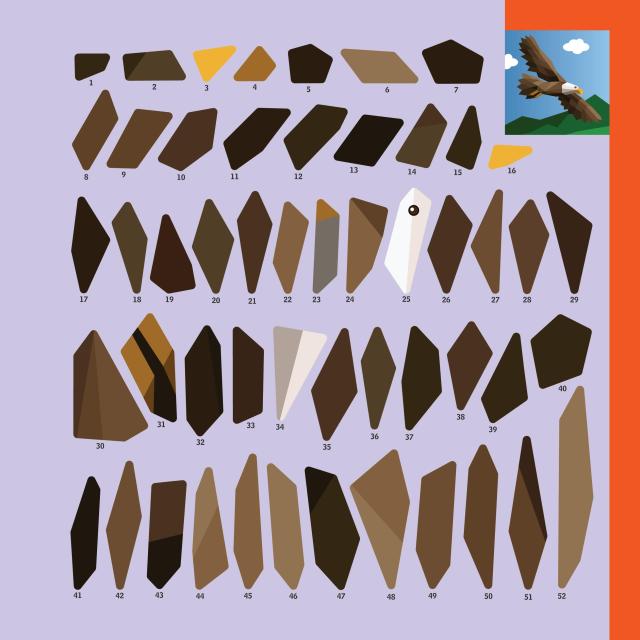 Color swatch chart with brown shades and an illustration of a bird on an orange strip.