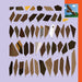 Color swatch chart with brown shades and an illustration of a bird on an orange strip.