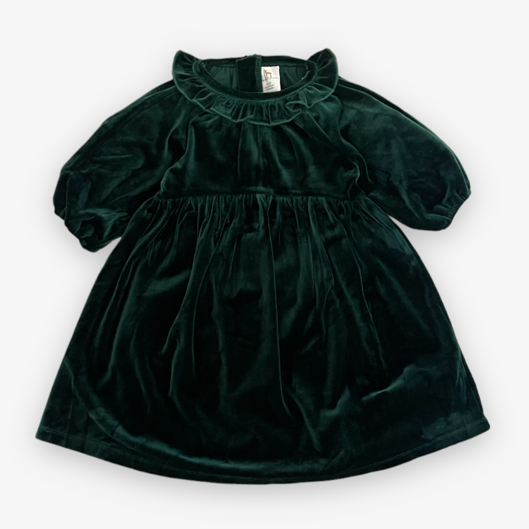 dark green velvet long sleeve dress with ruffle neck detail