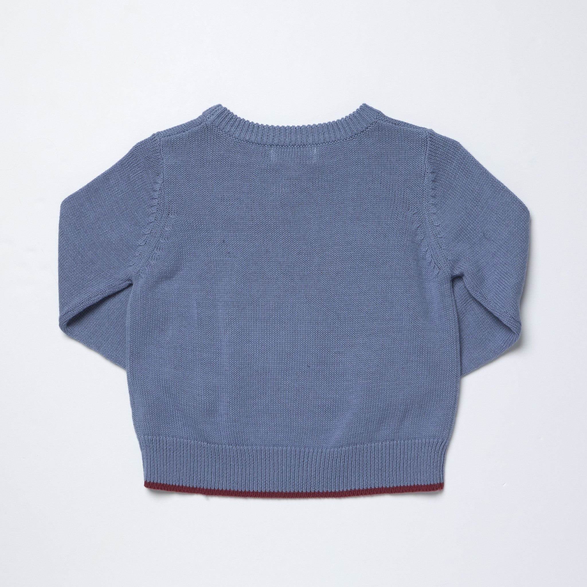 A dusty blue knit long-sleeve sweater shown from the back, featuring a ribbed crew neck, cuffs, and hem, with a thin dark red inner hem trim, laid flat on a white background.