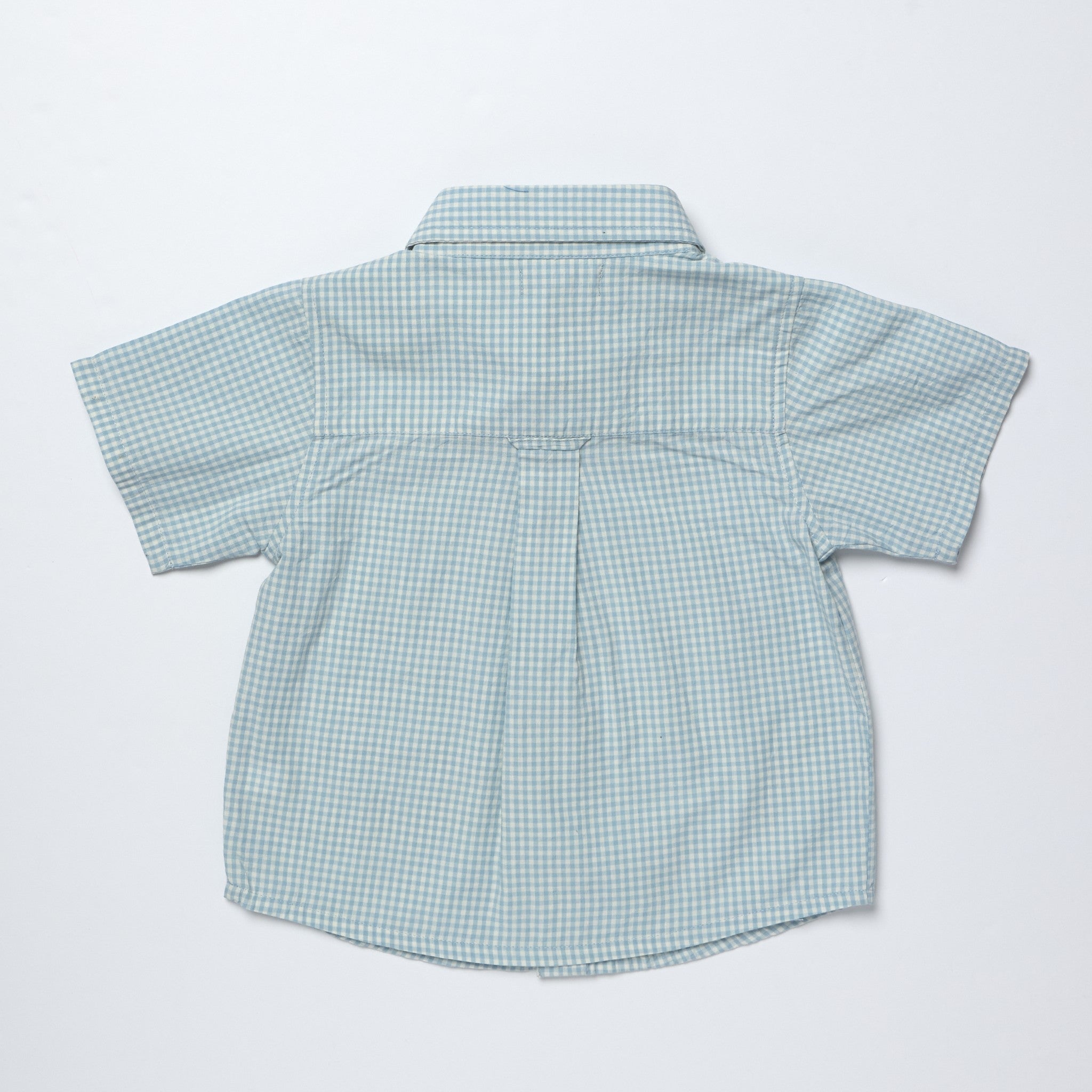 Blue gingham shirt on a light gray background