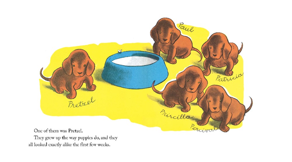 Illustration of five dachshunds around a bowl on a yellow background