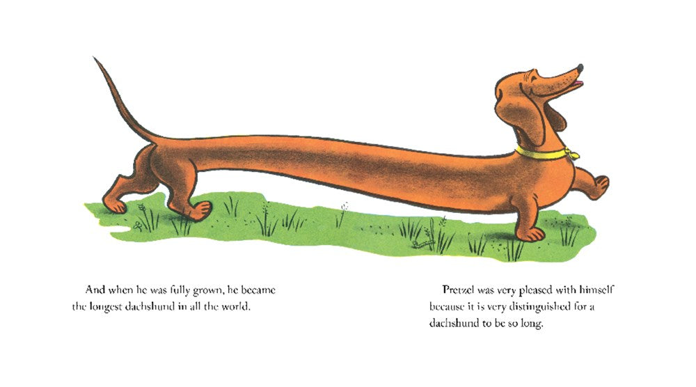 Illustration of a long dachshund on grass with text about its length.