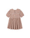 A toddler girl's short-sleeve dress in a brown and white gingham check pattern, featuring a large Peter Pan collar with white lace trim, a gathered waist, and a flared skirt.