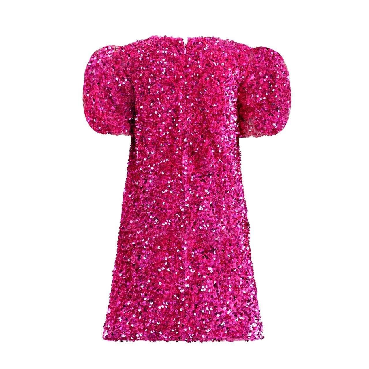 Dress - Raspberry Velvet Shimmer Dress