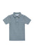 A short-sleeve polo shirt with horizontal stripes in slate blue and light green, featuring a two-button placket, on a solid white background.