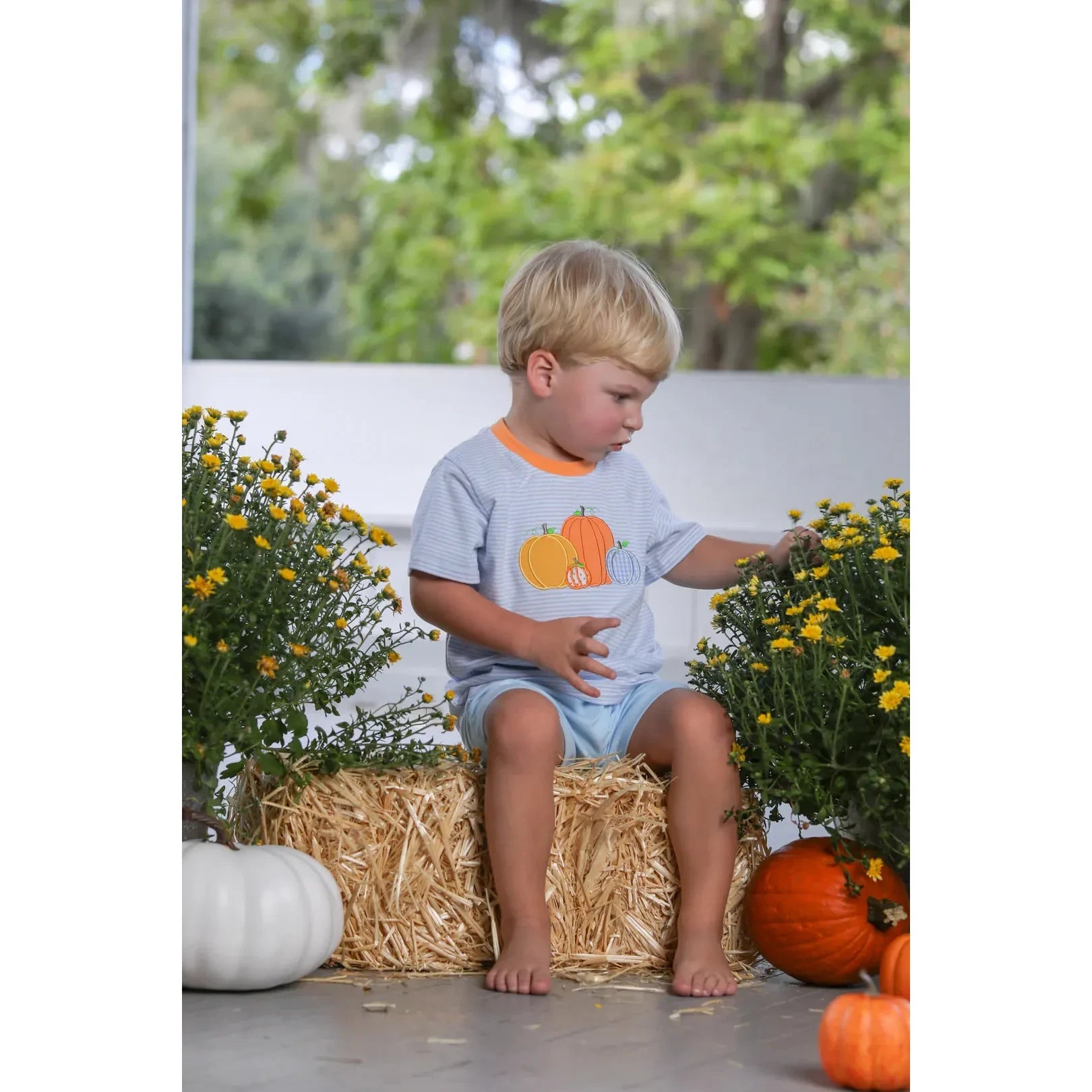 Shirt - Pumpkin Patch