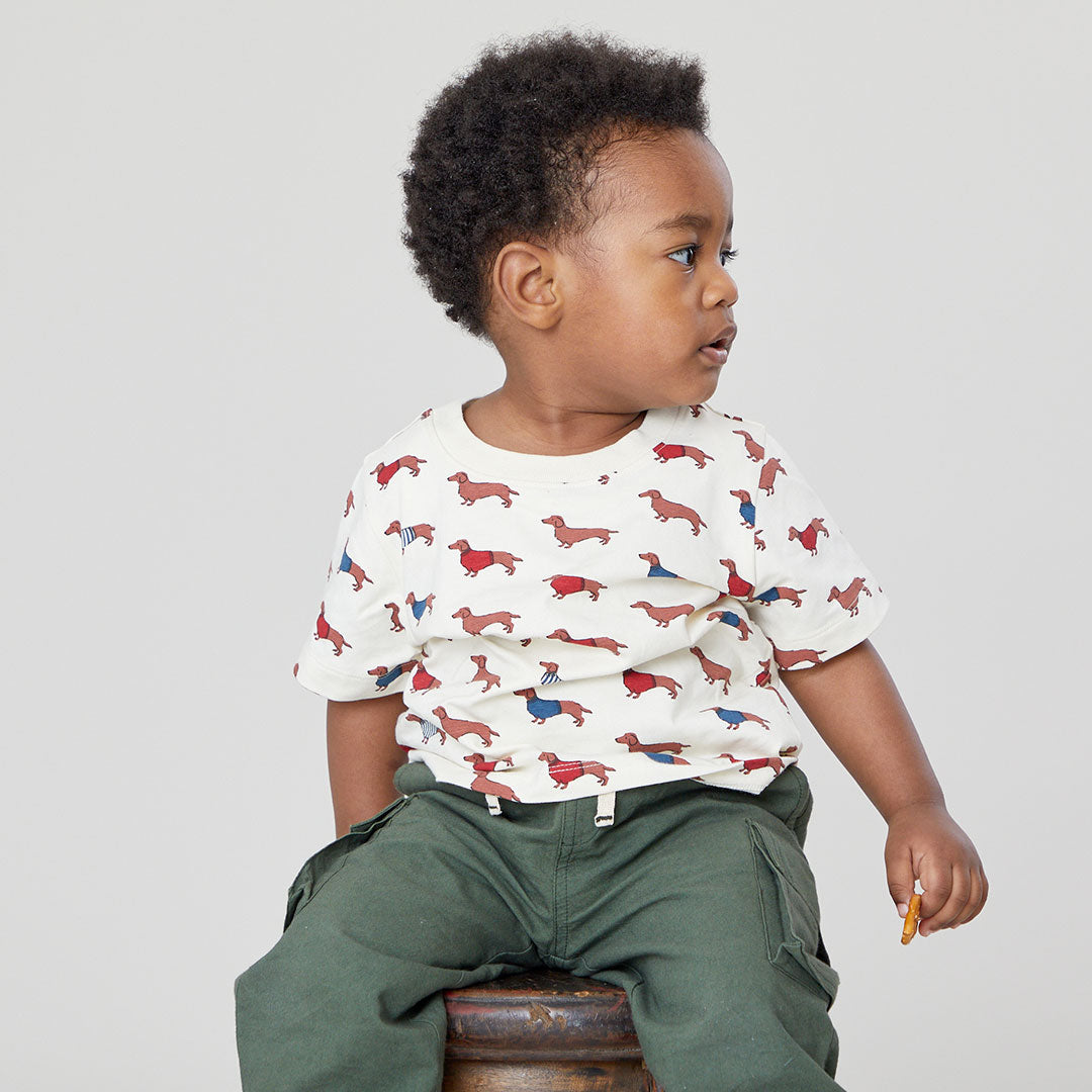 boy wearing white short sleeve tee with dachsunds wearing sweaters print