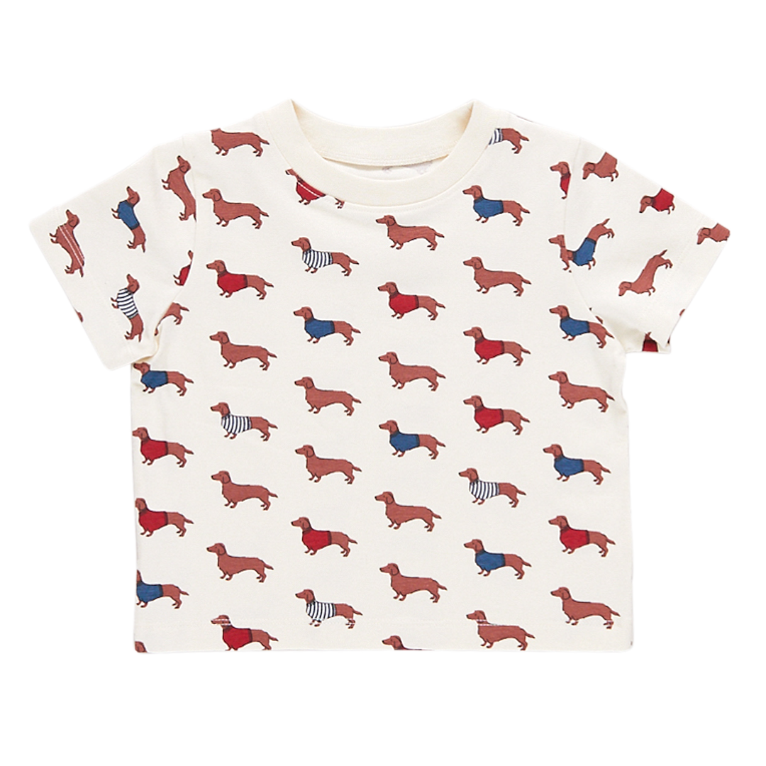 white short sleeve tee with dachsunds wearing sweaters print