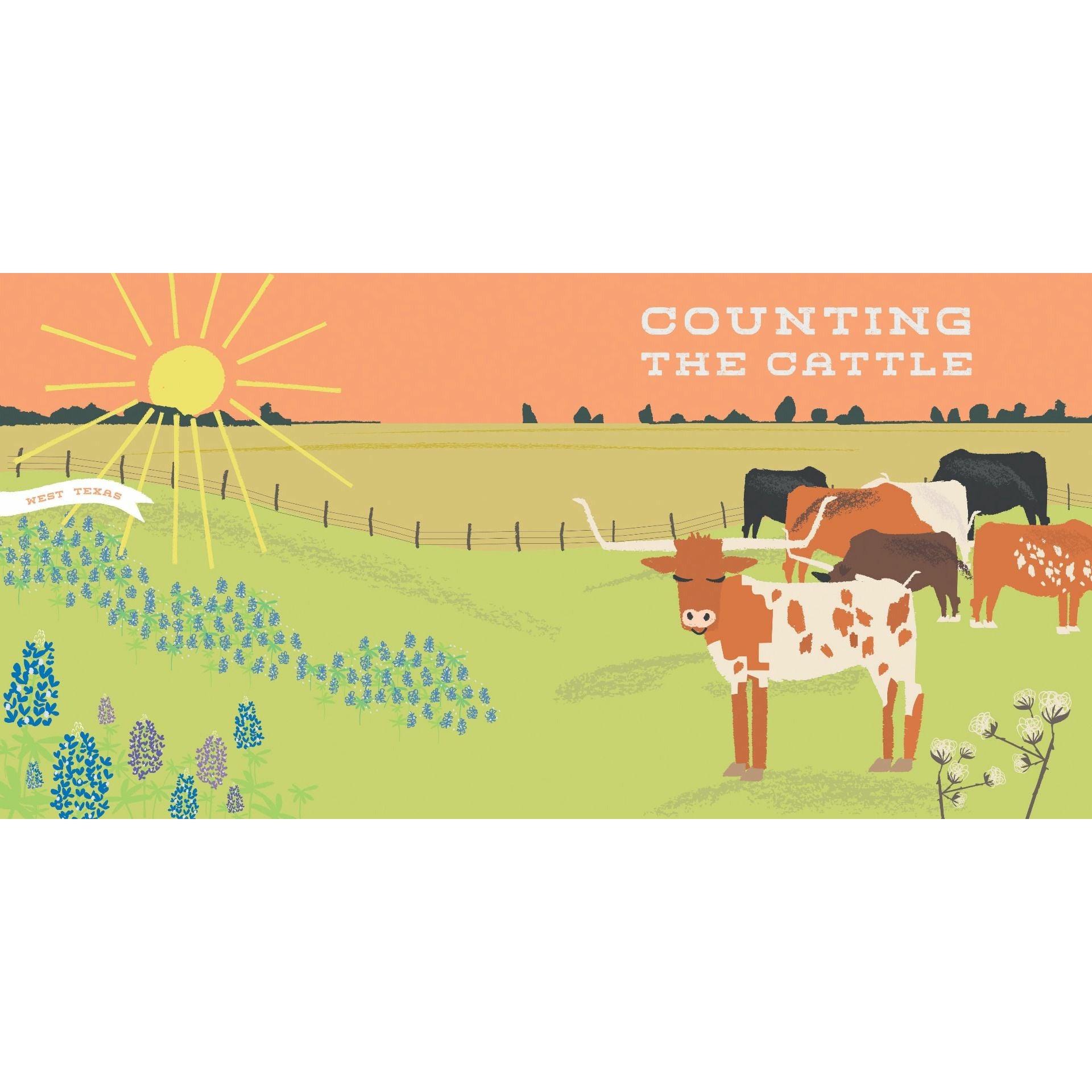 All Aboard! Texas: A Seek and Find Book - Collins & Conley