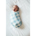 Swaddle - Lincoln - Collins & Conley