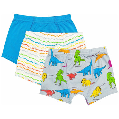Underwear - Neon Dinos Boxers - Collins & Conley
